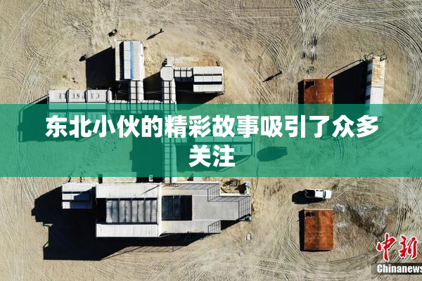 东北小伙的精彩故事吸引了众多关注
