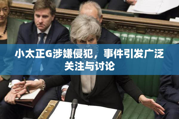 小太正G涉嫌侵犯，事件引发广泛关注与讨论