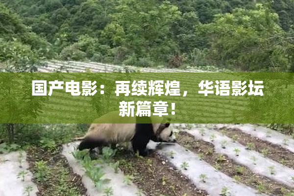 国产电影：再续辉煌，华语影坛新篇章！