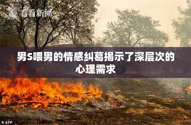 男S喂男的情感纠葛揭示了深层次的心理需求