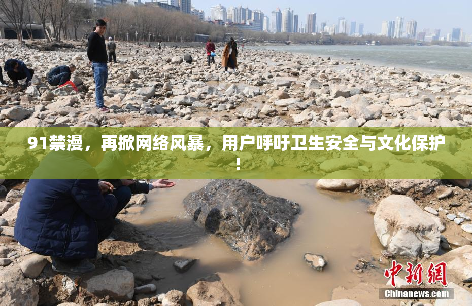91禁漫，再掀网络风暴，用户呼吁卫生安全与文化保护！