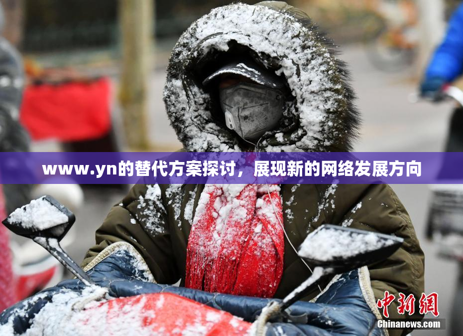 www.yn的替代方案探讨，展现新的网络发展方向