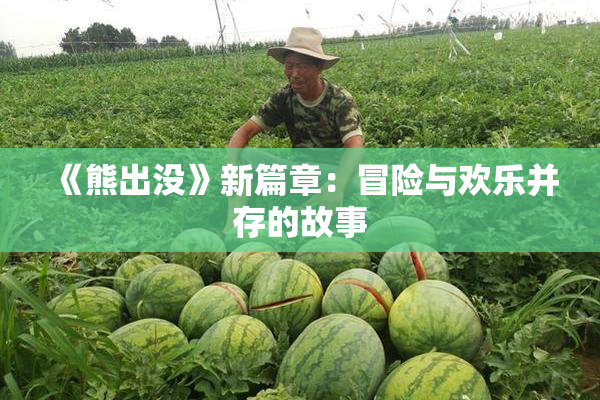 《熊出没》新篇章：冒险与欢乐并存的故事