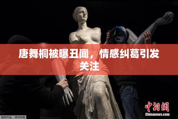 唐舞桐被曝丑闻，情感纠葛引发关注