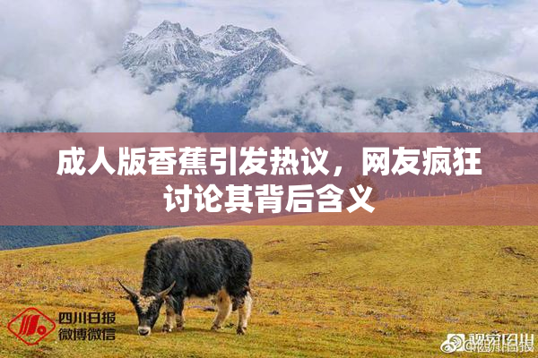成人版香蕉引发热议，网友疯狂讨论其背后含义