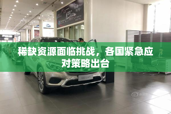 稀缺资源面临挑战，各国紧急应对策略出台