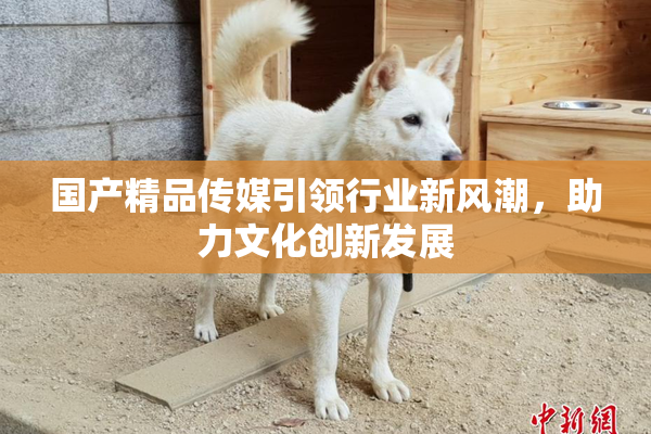 国产精品传媒引领行业新风潮，助力文化创新发展