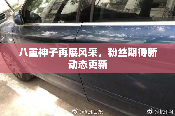 八重神子再展风采，粉丝期待新动态更新