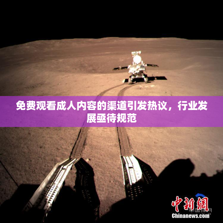 免费观看成人内容的渠道引发热议，行业发展亟待规范