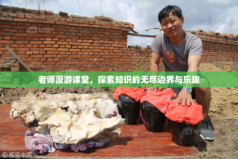 老师漫游课堂，探索知识的无尽边界与乐趣