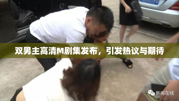 双男主高清M剧集发布，引发热议与期待