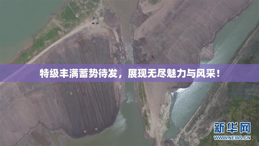 特级丰满蓄势待发，展现无尽魅力与风采！