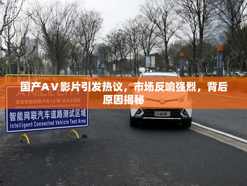 国产AⅤ影片引发热议，市场反响强烈，背后原因揭秘
