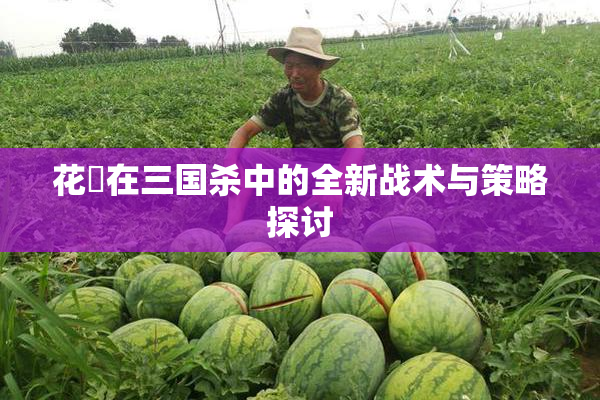 花鬘在三国杀中的全新战术与策略探讨