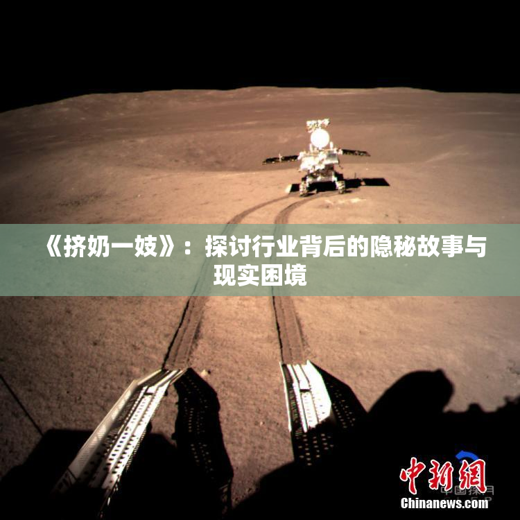 《挤奶一妓》：探讨行业背后的隐秘故事与现实困境