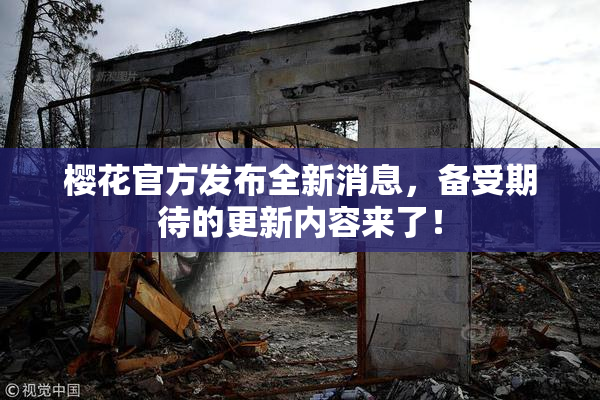 樱花官方发布全新消息，备受期待的更新内容来了！