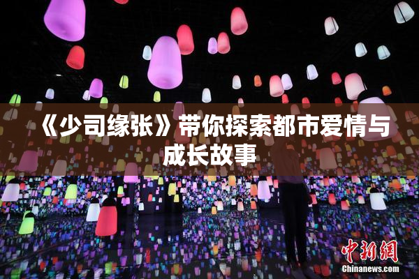 《少司缘张》带你探索都市爱情与成长故事
