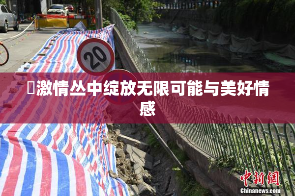 巜激情丛中绽放无限可能与美好情感