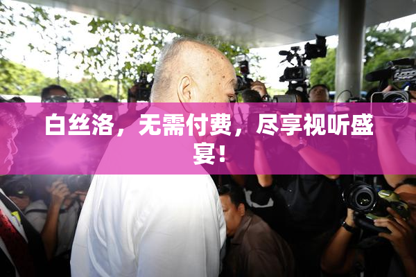 白丝洛，无需付费，尽享视听盛宴！