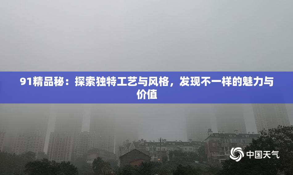 91精品秘：探索独特工艺与风格，发现不一样的魅力与价值
