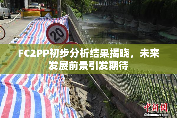 FC2PP初步分析结果揭晓，未来发展前景引发期待