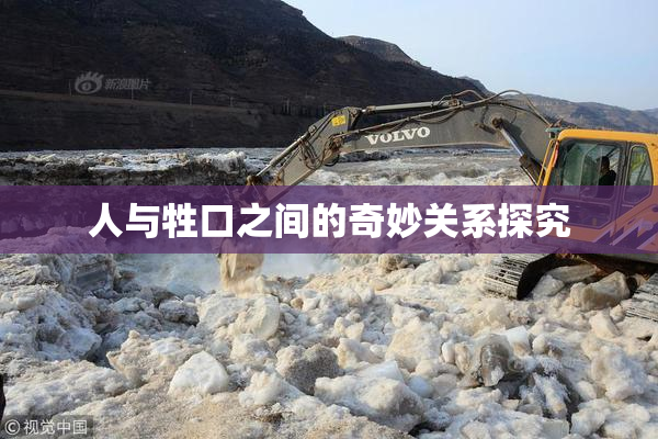 人与牲口之间的奇妙关系探究