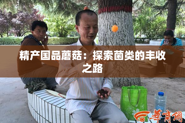 精产国品蘑菇：探索菌类的丰收之路