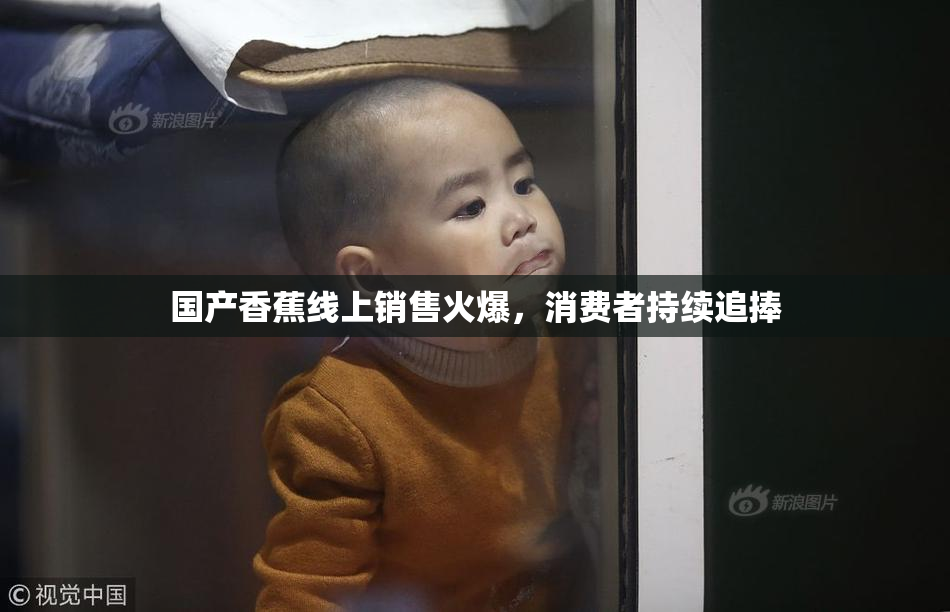 国产香蕉线上销售火爆，消费者持续追捧