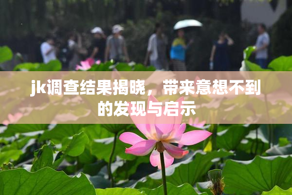 jk调查结果揭晓，带来意想不到的发现与启示