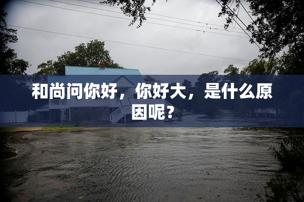 和尚问你好，你好大，是什么原因呢？