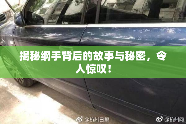 揭秘纲手背后的故事与秘密，令人惊叹！