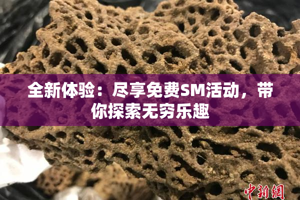 全新体验：尽享免费SM活动，带你探索无穷乐趣