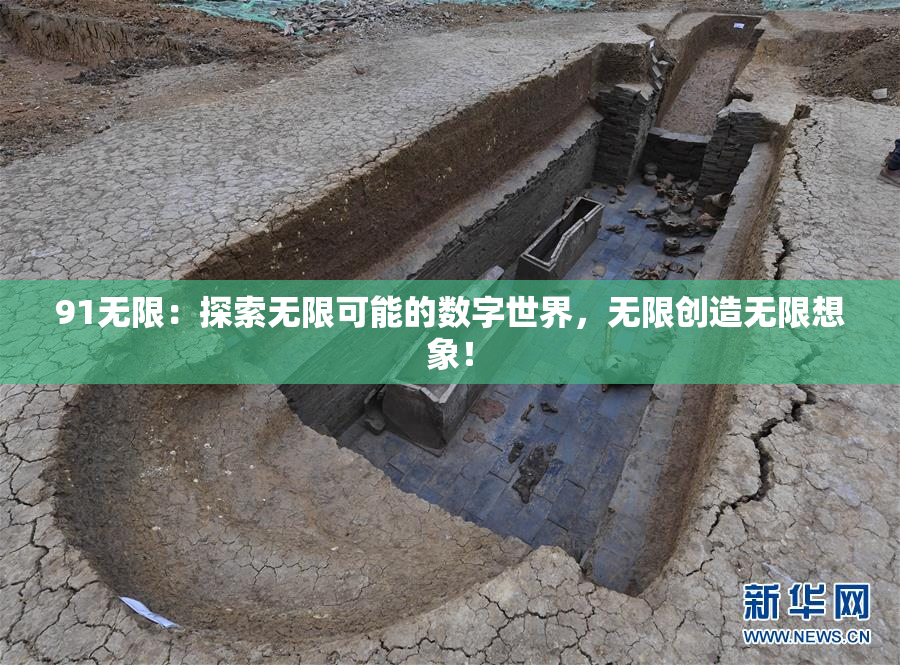 91无限：探索无限可能的数字世界，无限创造无限想象！