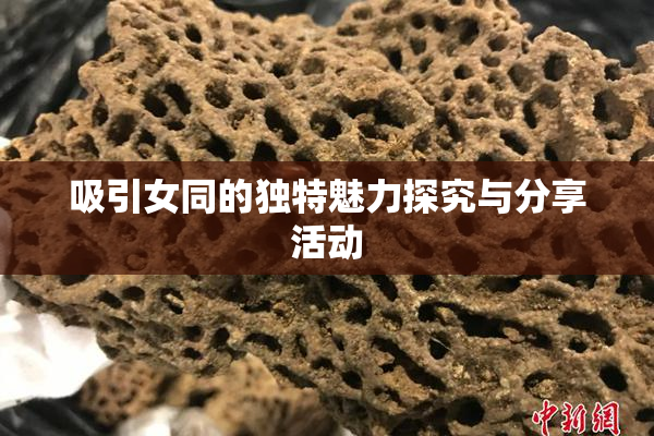 吸引女同的独特魅力探究与分享活动