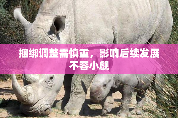 捆绑调整需慎重，影响后续发展不容小觑