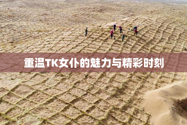 重温TK女仆的魅力与精彩时刻