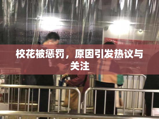 校花被惩罚，原因引发热议与关注