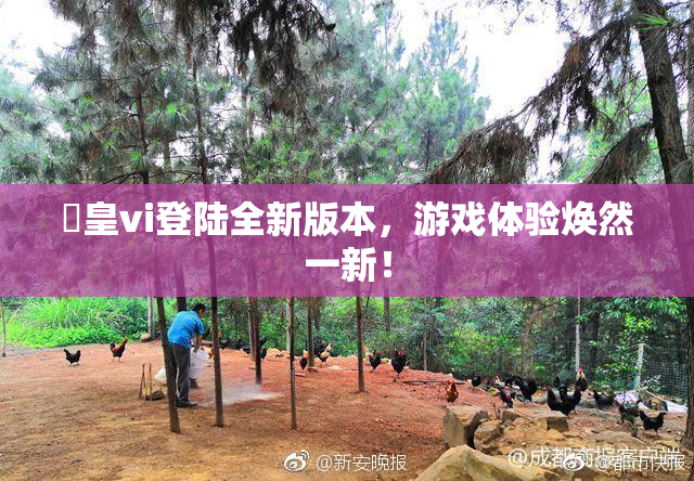 嘼皇vi登陆全新版本，游戏体验焕然一新！