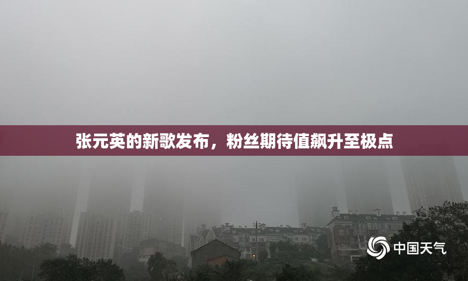 张元英的新歌发布，粉丝期待值飙升至极点
