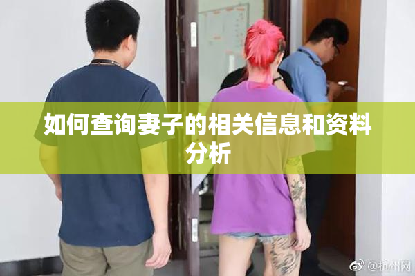 如何查询妻子的相关信息和资料分析