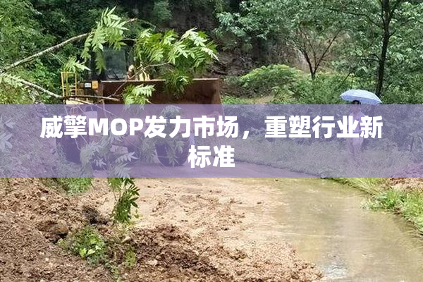 威擎MOP发力市场，重塑行业新标准