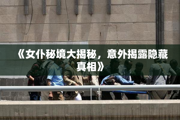 《女仆秘境大揭秘，意外揭露隐藏真相》