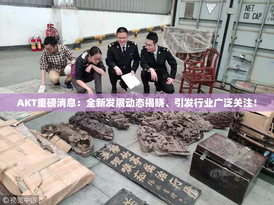 AKT重磅消息：全新发展动态揭晓、引发行业广泛关注！