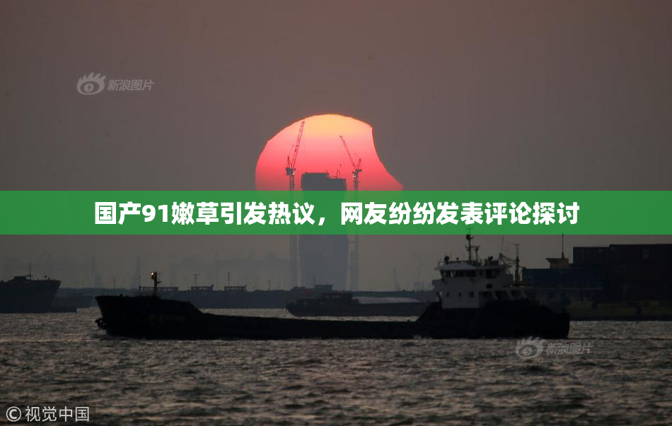 国产91嫩草引发热议，网友纷纷发表评论探讨