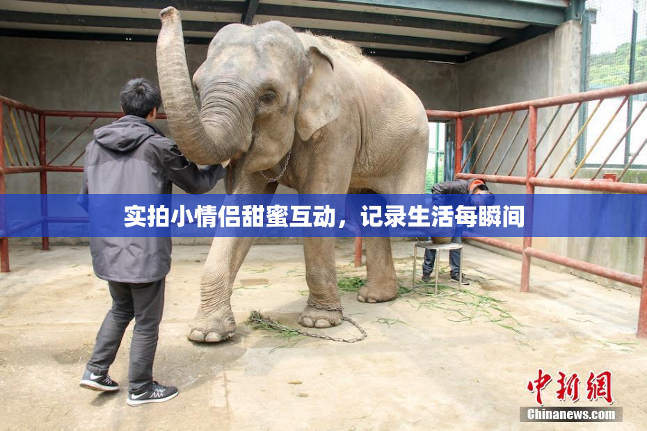 实拍小情侣甜蜜互动，记录生活每瞬间