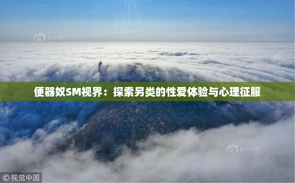 便器奴SM视界：探索另类的性爱体验与心理征服
