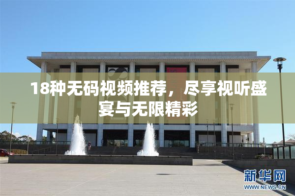18种无码视频推荐，尽享视听盛宴与无限精彩