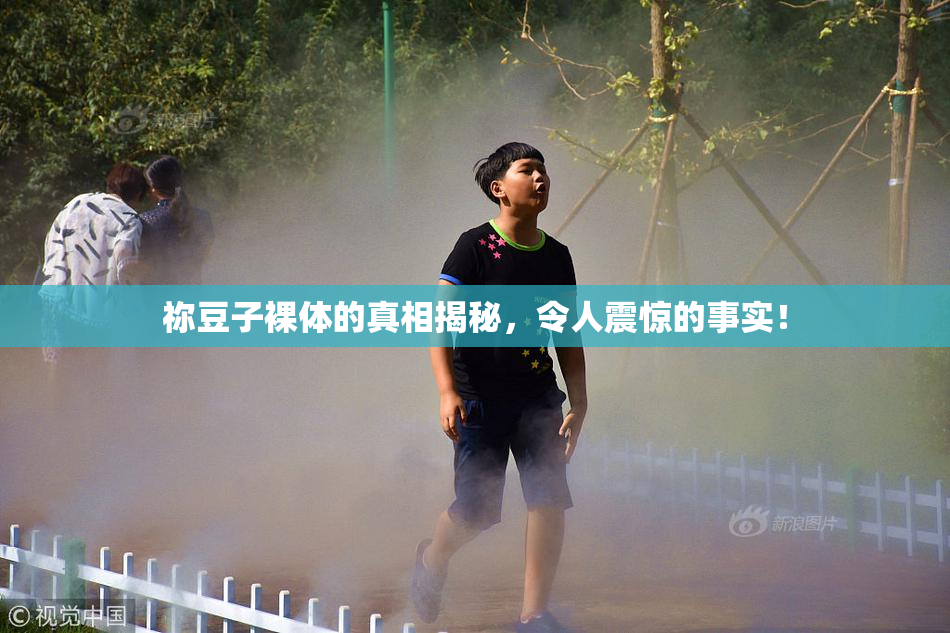 祢豆子裸体的真相揭秘，令人震惊的事实！