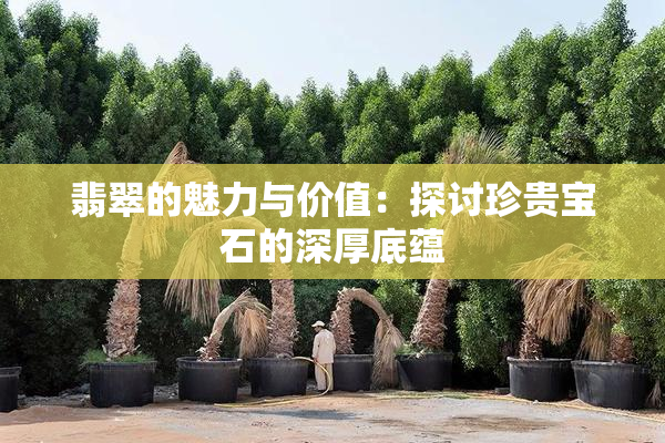 翡翠的魅力与价值：探讨珍贵宝石的深厚底蕴