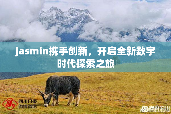 jasmin携手创新，开启全新数字时代探索之旅